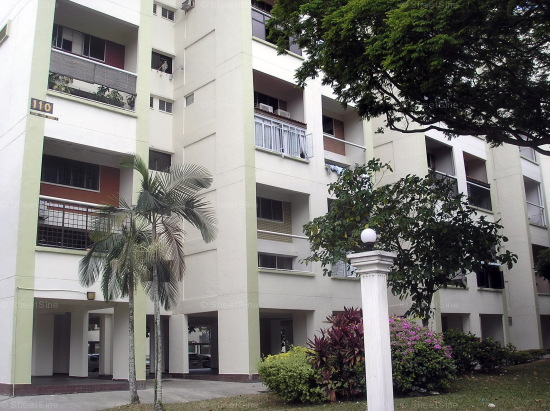 Blk 110 Potong Pasir Avenue 1 (Toa Payoh), HDB Executive #346042